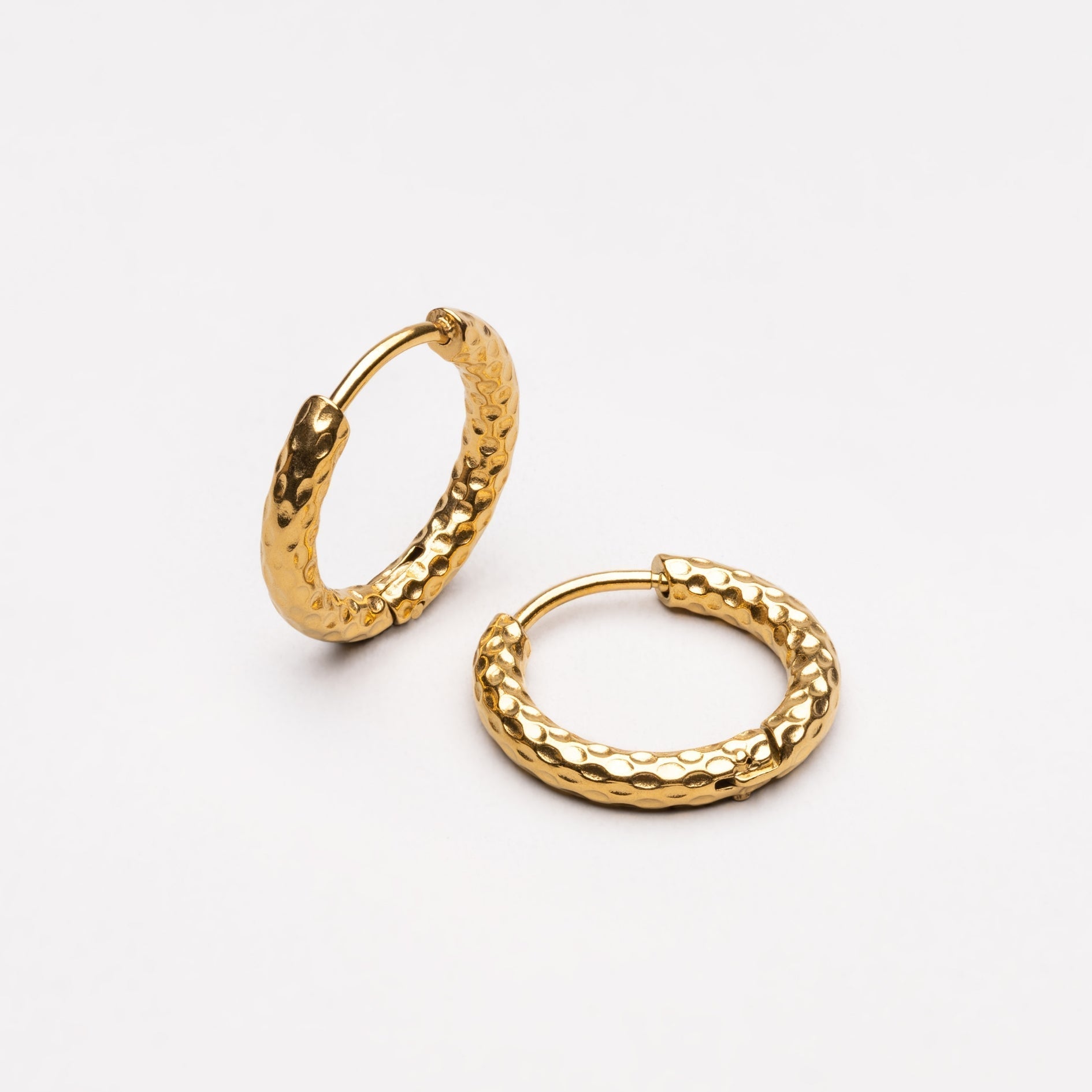 Sparkling Hammered Earrings - Livia