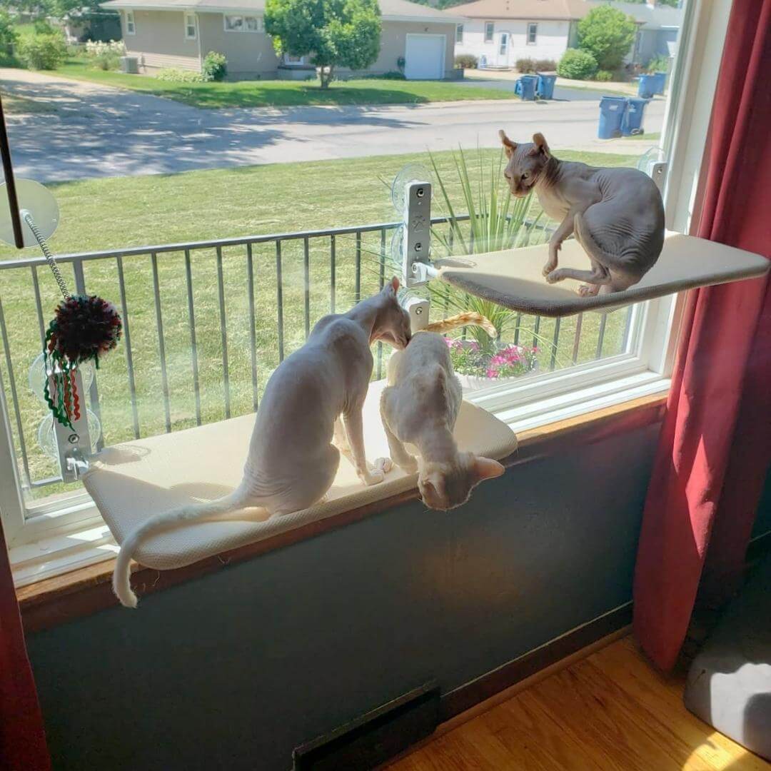 PawPerch – Stylish Foldable Cat Hammock