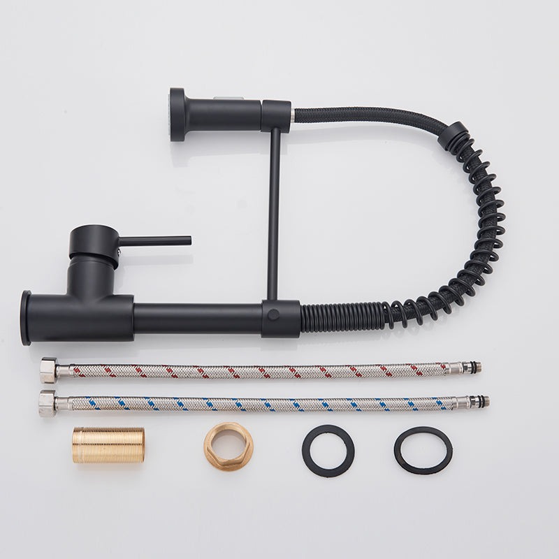 Zoovy faucet - Stylish black kitchen faucet with features
