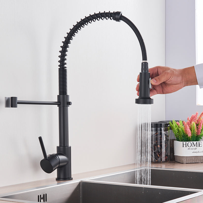 Zoovy faucet - Stylish black kitchen faucet with features