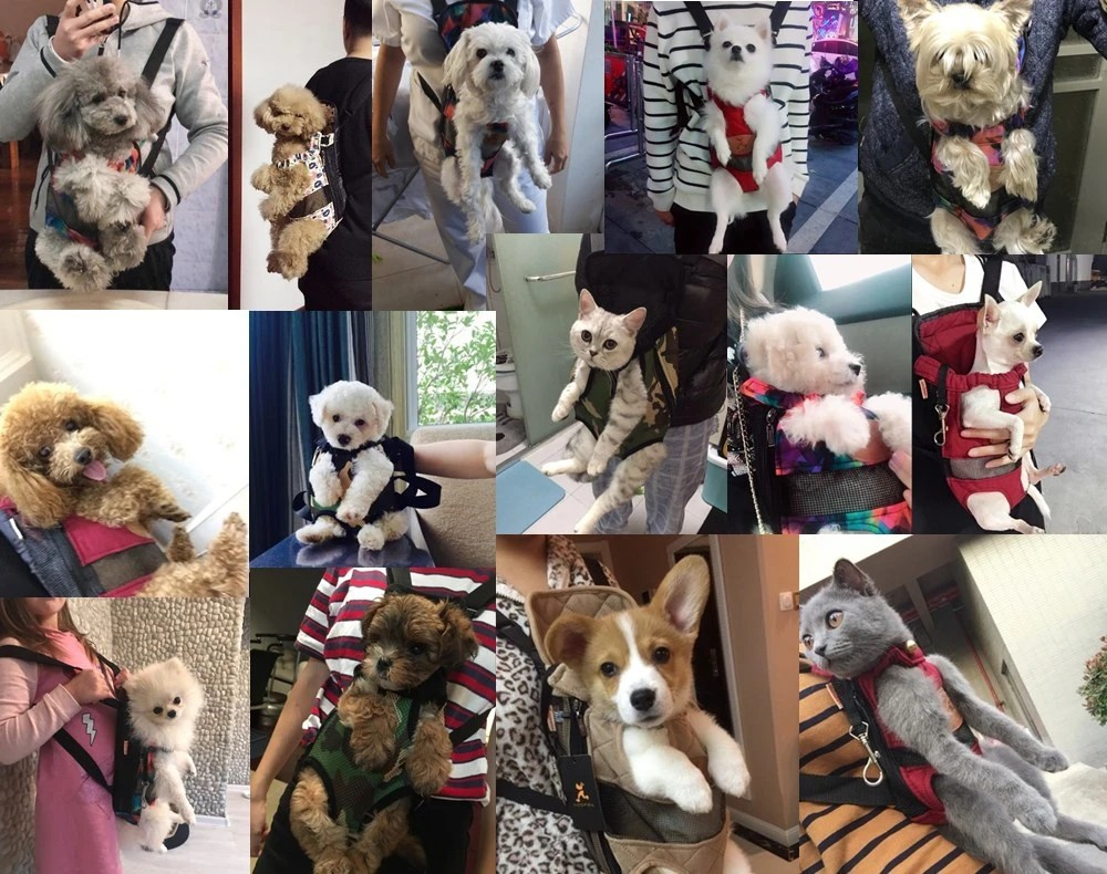 TravelBuddy Carrier – Luxury Pet Bag with Comfort