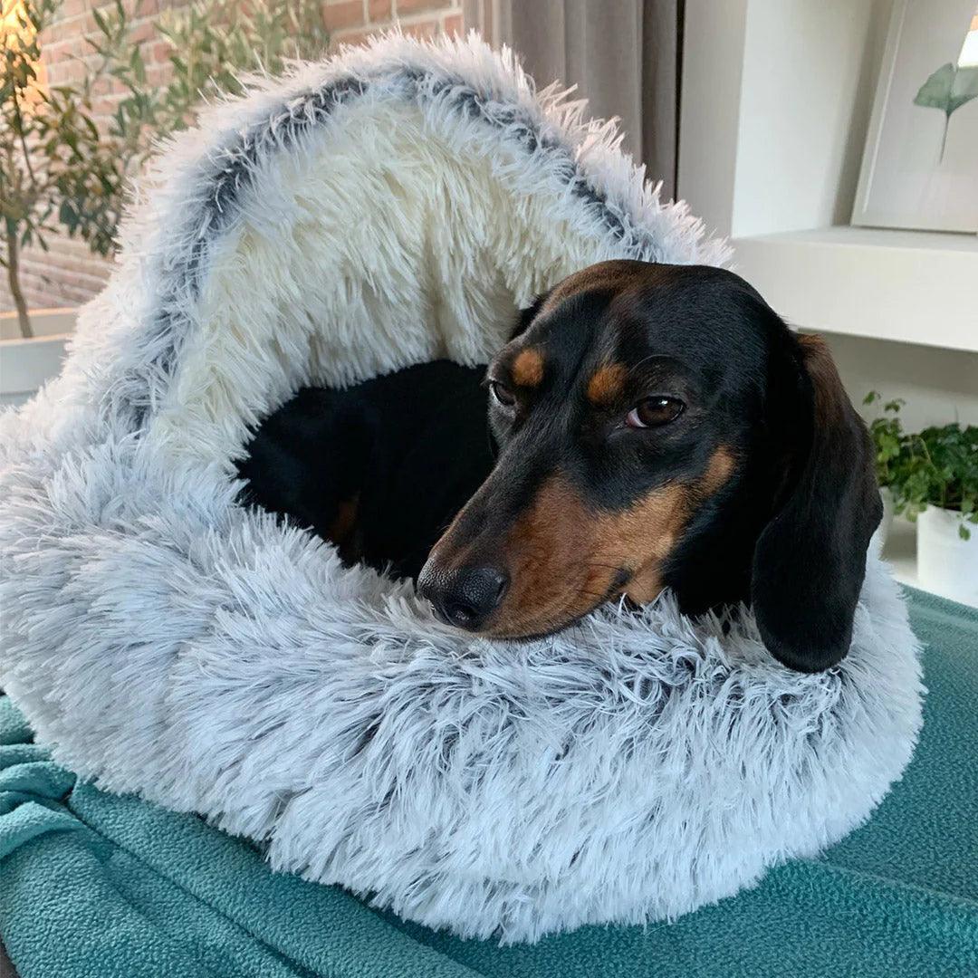 LuxePet Bed - Premium Comfort for Pets